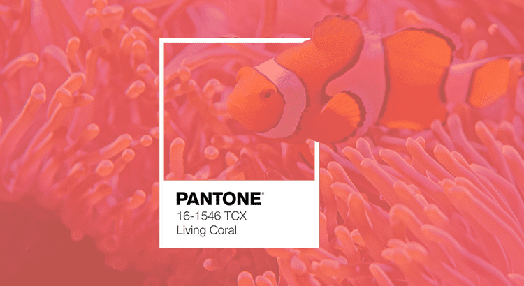 Foto Conheça a cor do ano da Pantone, o Living Coral