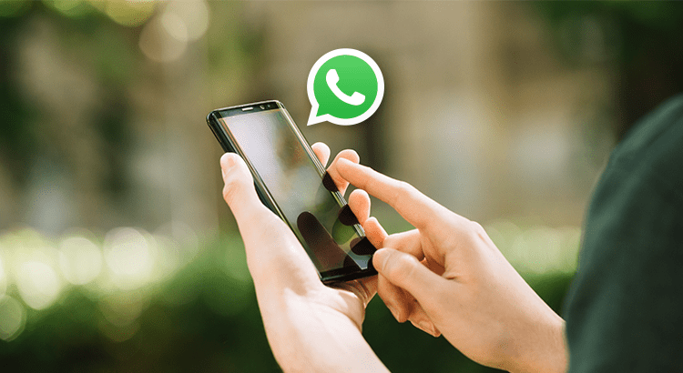 Foto WhatsApp Marketing: perspectivas e oportunidades para acertar